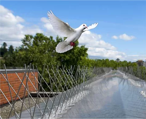 Paslanmaz kuş sivri uçları