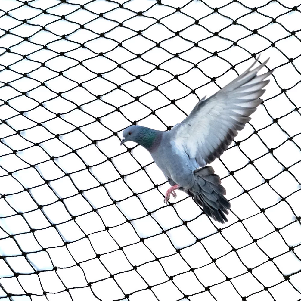 Kuş Anti Netting